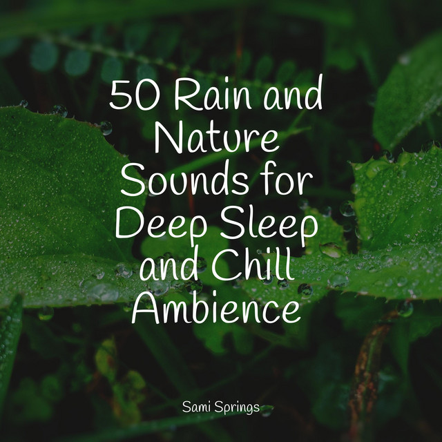 50 Rain and Nature Sounds for Deep Sleep and Chill Ambience - Album by ...