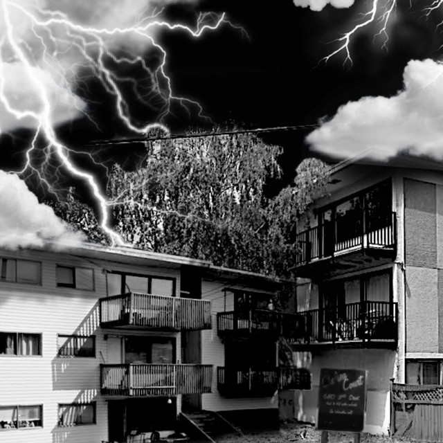 Protocal cover art