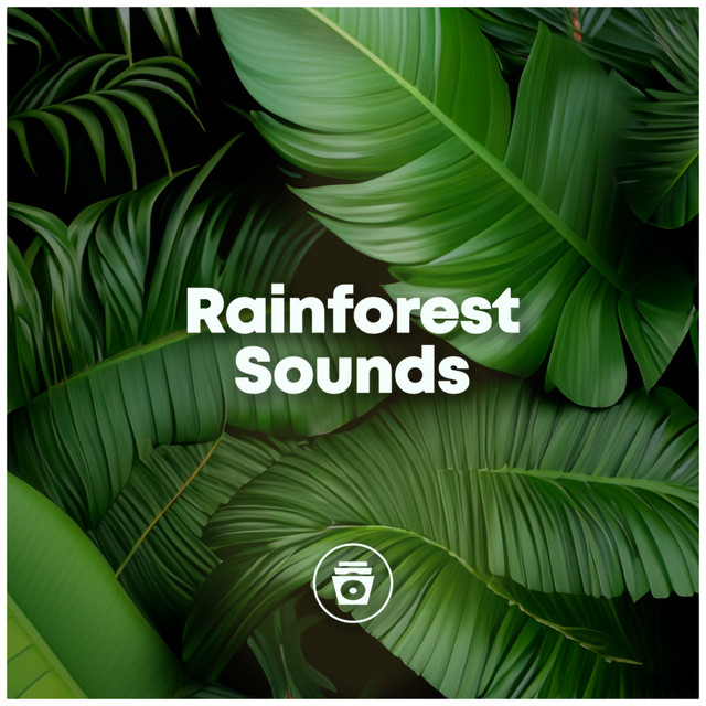Rainforest Sounds cover art