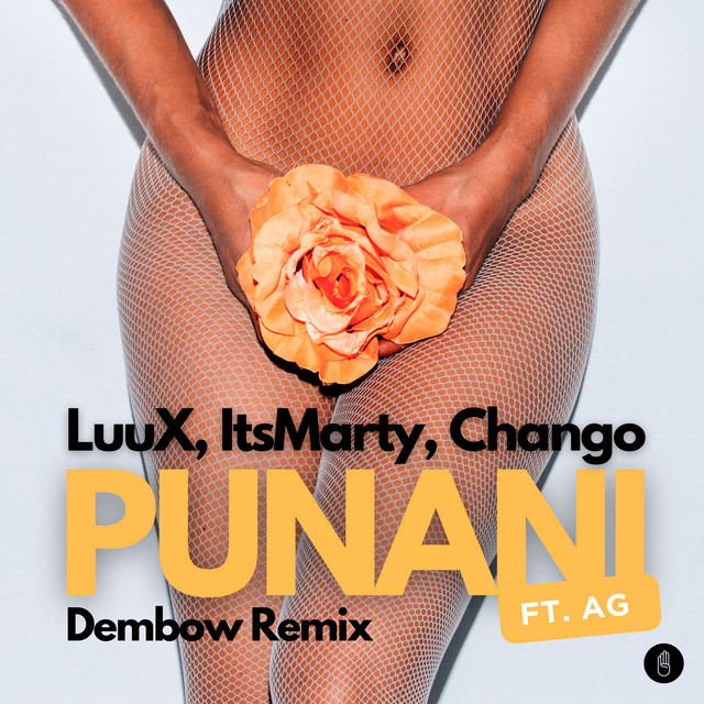 Punani (feat. AG) [Dembow Remix] cover