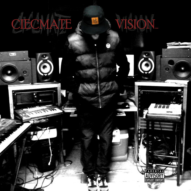 Vision cover art
