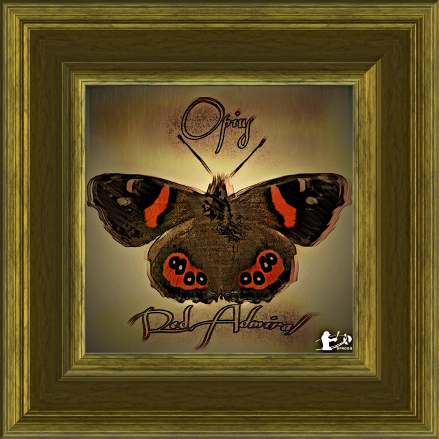 Red Admiral artwork