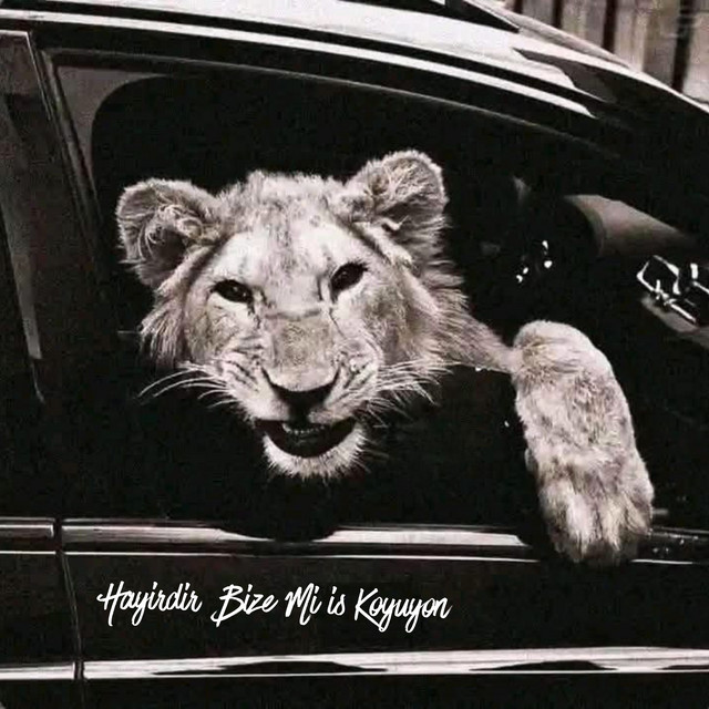 undefined album image