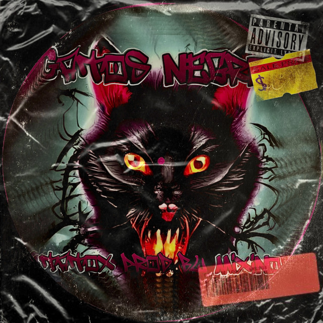 Gatos Negros