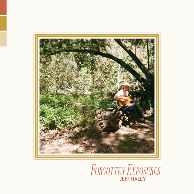 Forgotten Exposures cover art