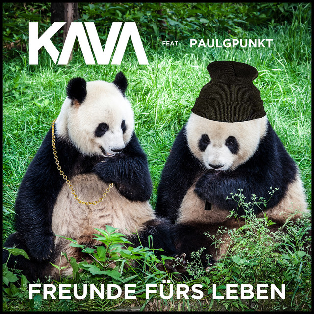 Freunde fürs Leben cover