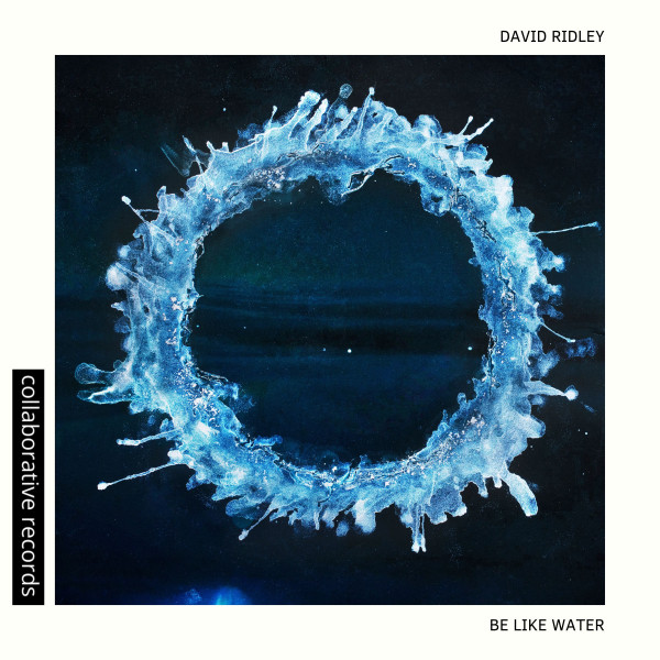 Be Like Water cover art