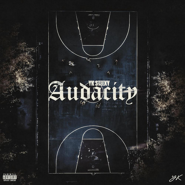 Audacity cover art