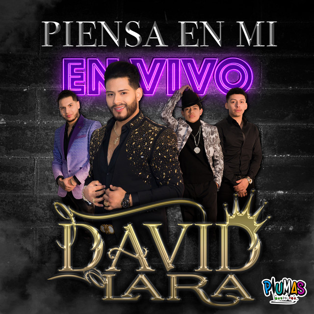 Piensa en Mi (En Vivo) cover