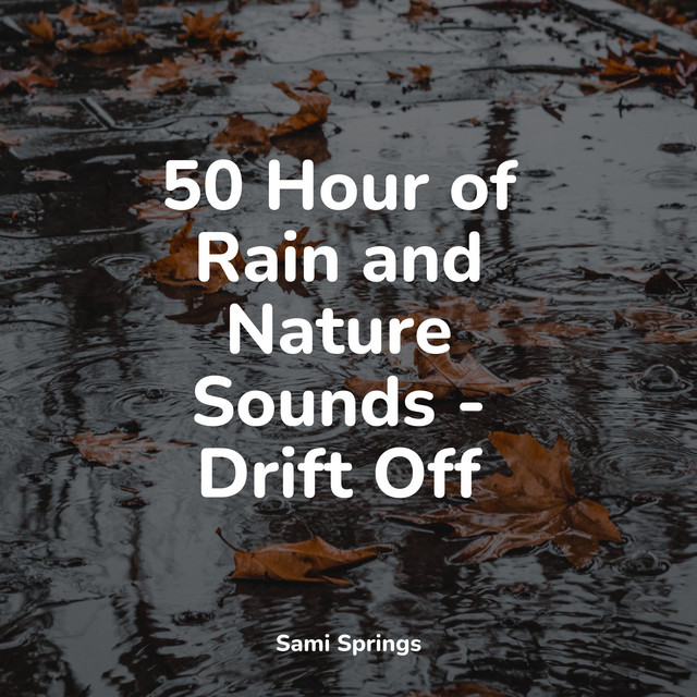 50 Hour of Rain and Nature Sounds - Drift Off - Album by Saludo al Sol ...
