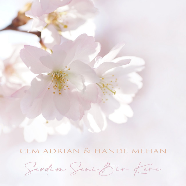 Sevdim Seni Bir Kere cover art