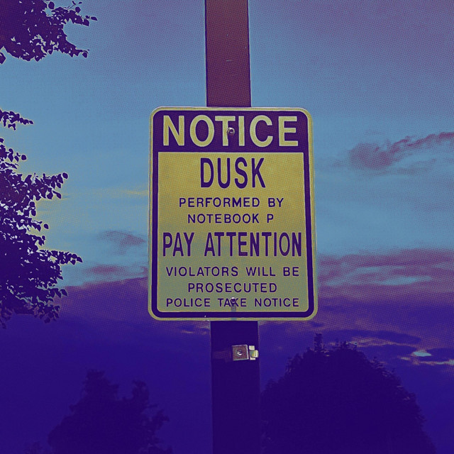 dusk cover art