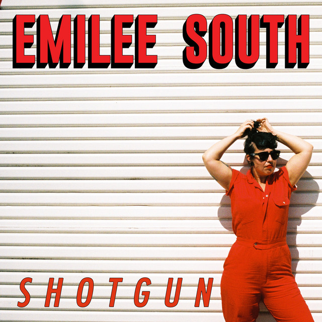 Shotgun cover