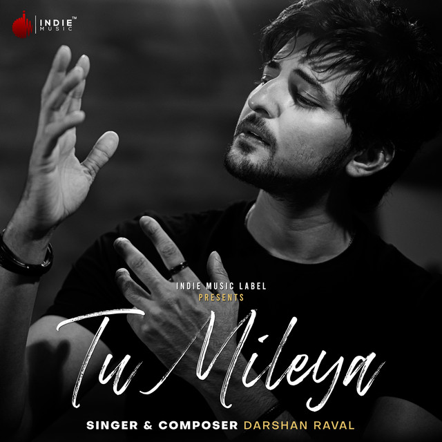 Tu Mileya cover art