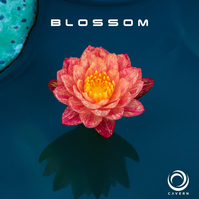 Blossom cover art