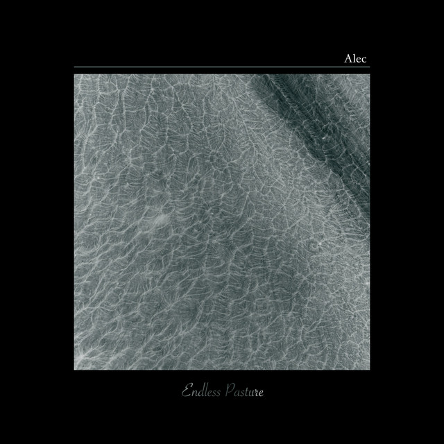 Endless Pasture cover art