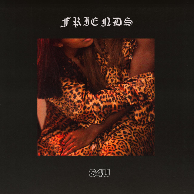 Friends cover