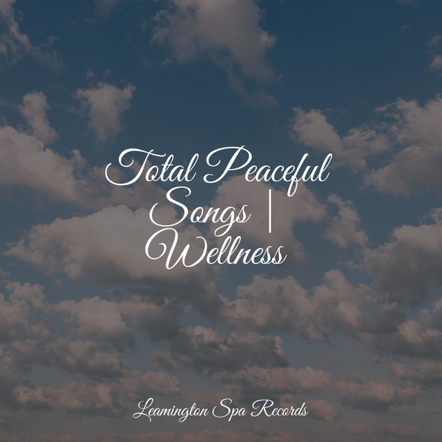 Total Peaceful Songs | Wellness cover art