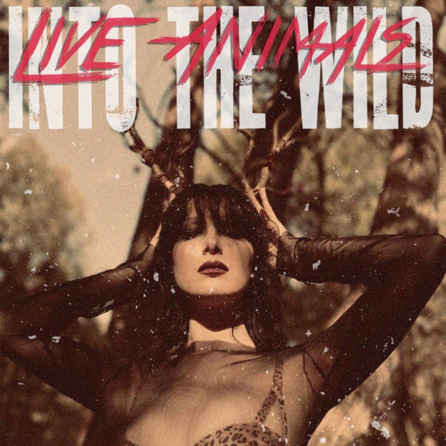 Into the Wild cover art