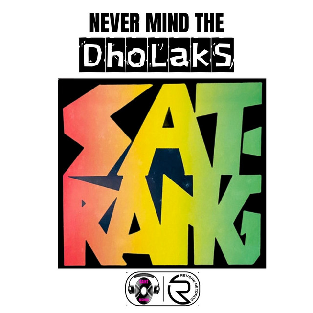 Never Mind The Dholaks cover art