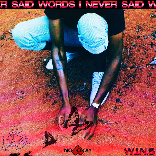 W.I.N.S [Words I Never Said] cover art