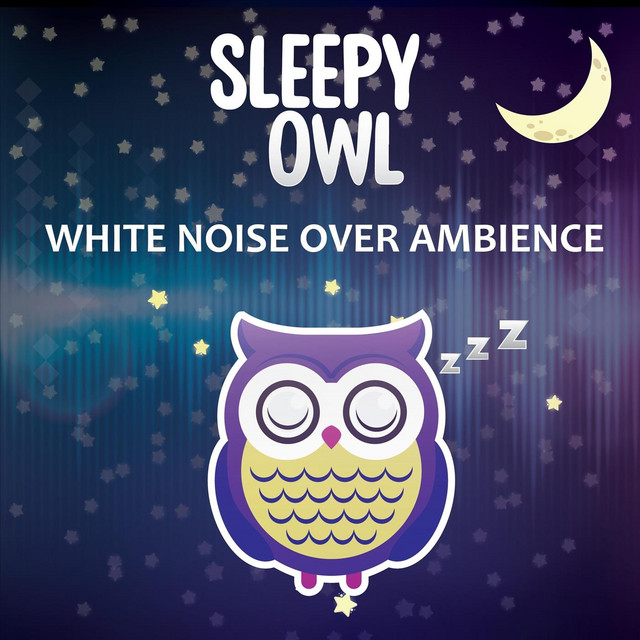 Sleepy Owl