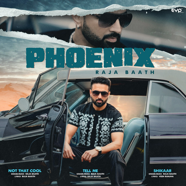 Phoenix by Raja Baath