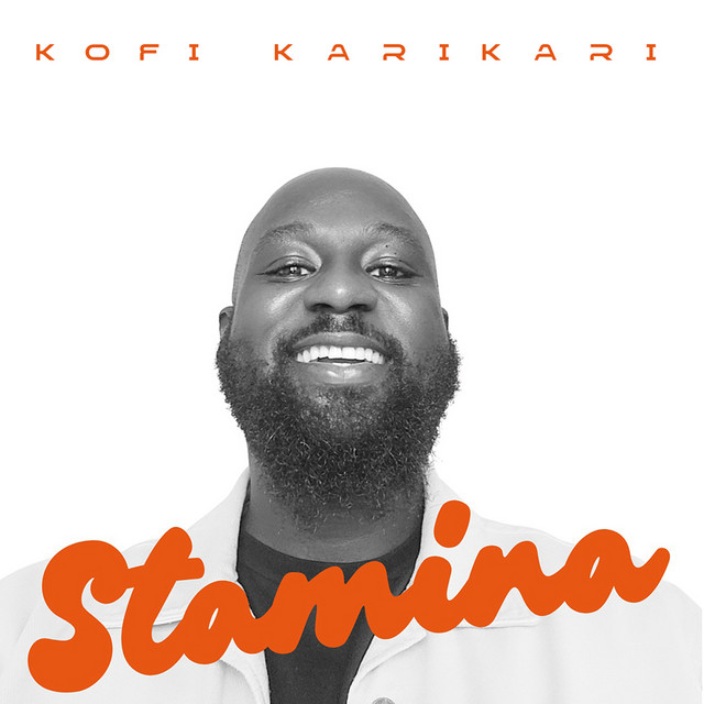 Stamina cover art