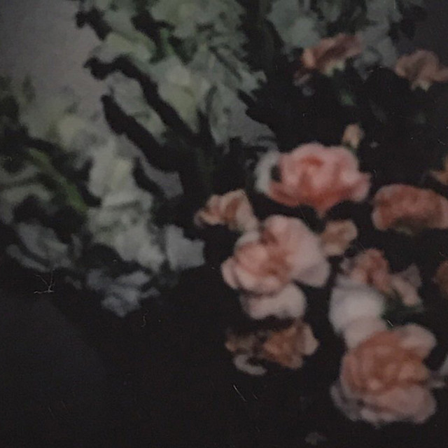 Just a fool cover art