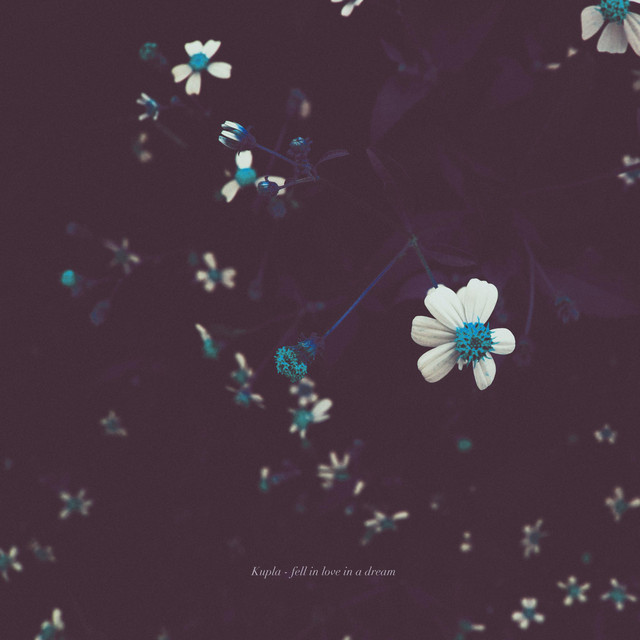 fell in love in a dream cover art