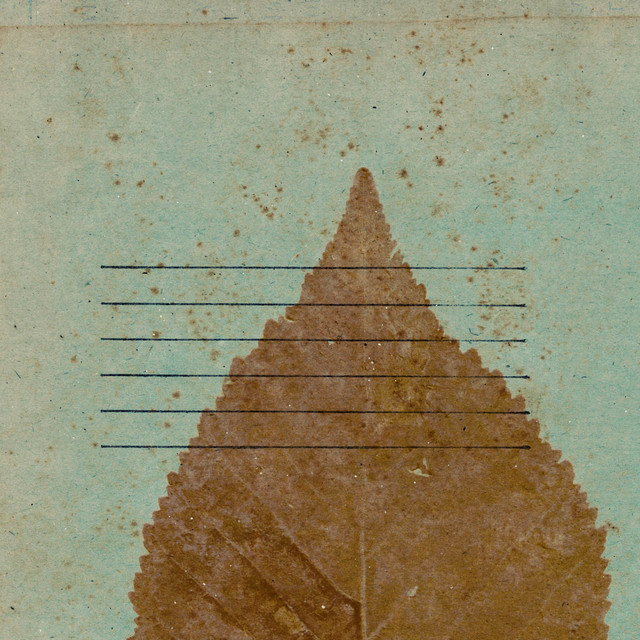 The Book Of Dreams cover