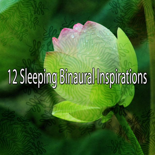 12 Sleeping Binaural Inspirations cover art