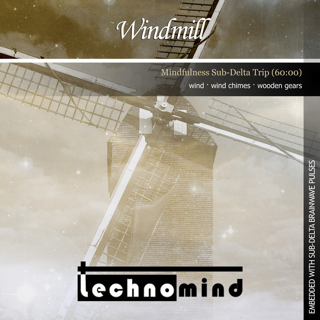 Windmill - Single by Technomind | Spotify