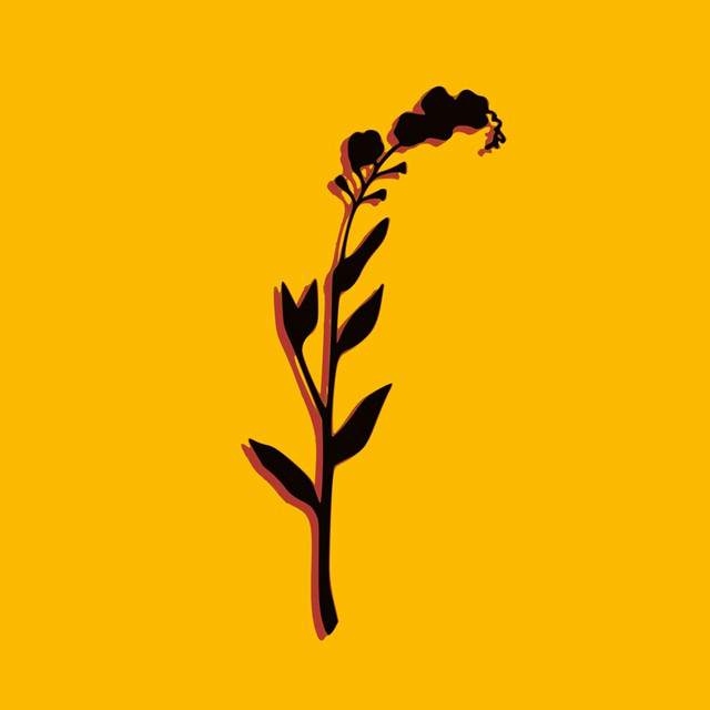 Serotones cover art