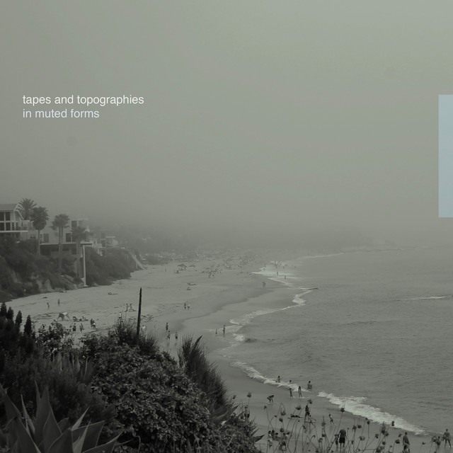 In Muted Forms cover art