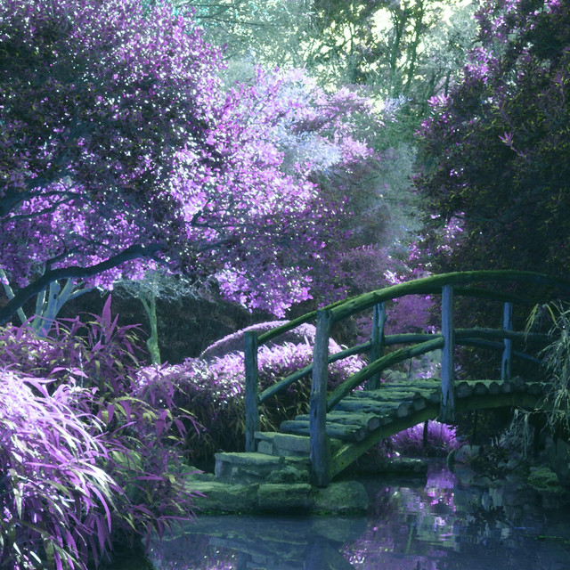 Sanctuary cover art
