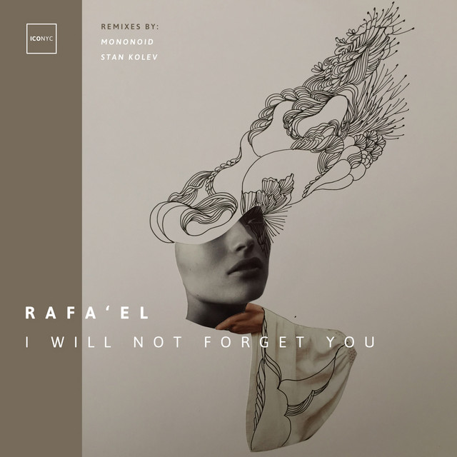 I Will Not Forget You - Stan Kolev Remix