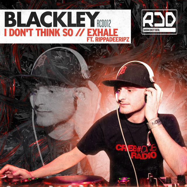 I Don\'t Think So artwork