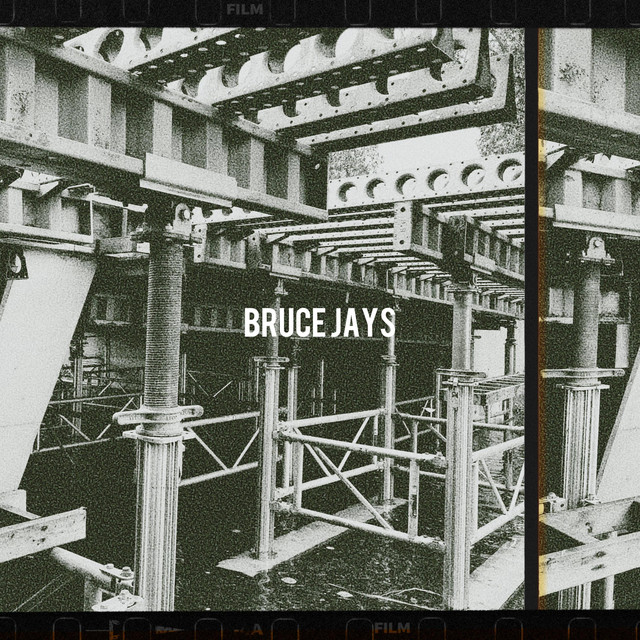BRUCE JAYS