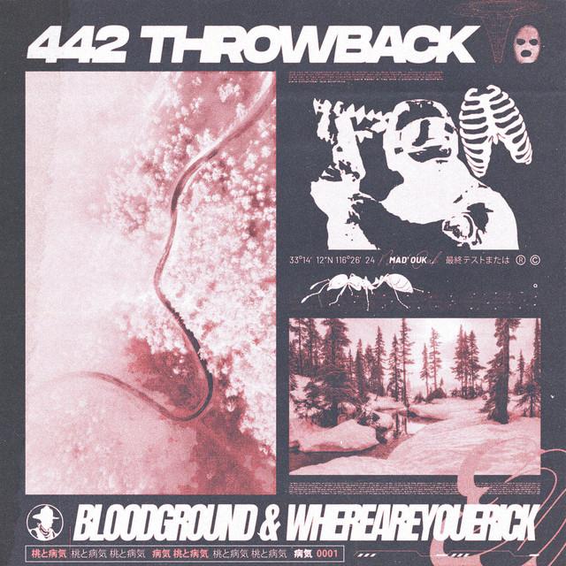 442 THROWBACK cover art