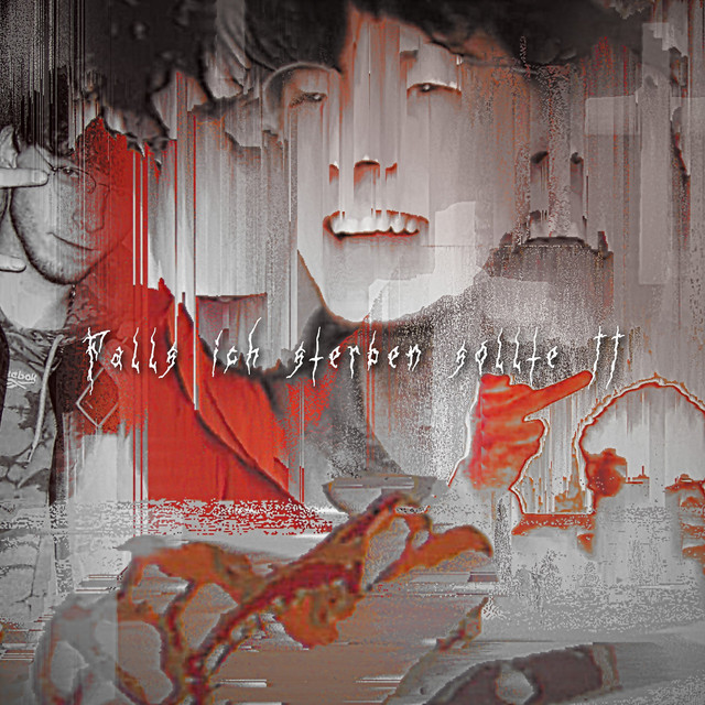 Falls Ich Sterben Sollte 2 cover art