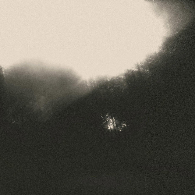 Обкладинка: overthinking — nexist