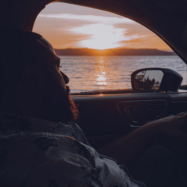 Trips Around the Sun cover art