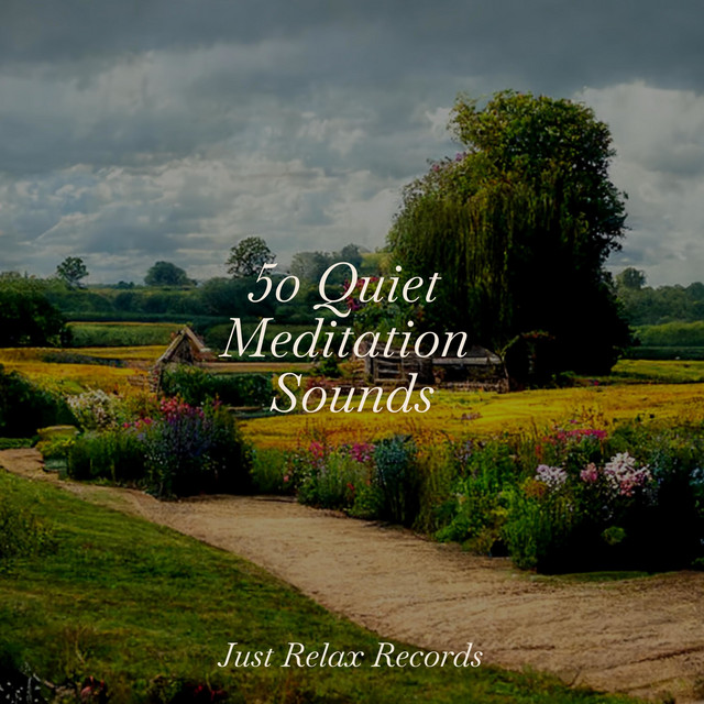 50 Quiet Meditation Sounds - Album by Soothing Sounds | Spotify