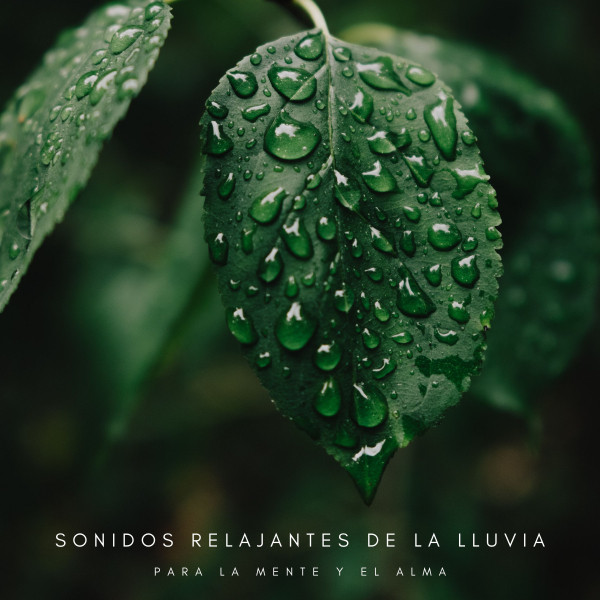 Cruzando El Río - song by Sonidos De Lluvia y Tormentas, Relajantes ...
