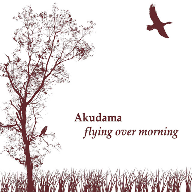 Flying Over Morning cover art