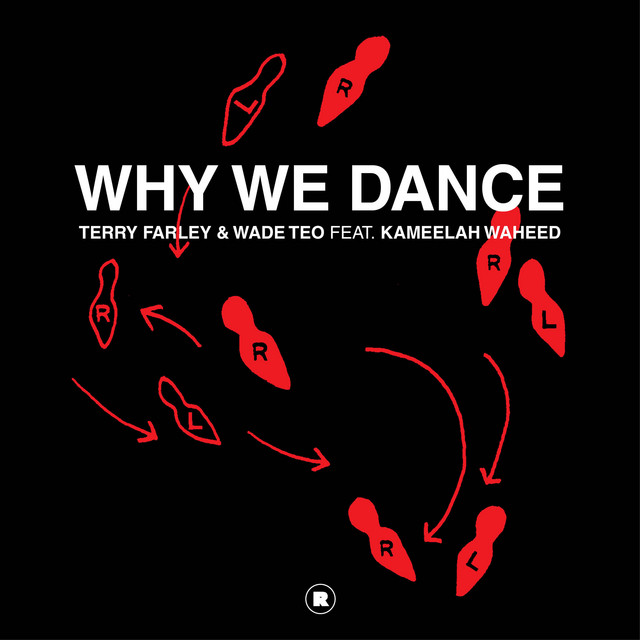 Why We Dance - Lonely Dancer Remix