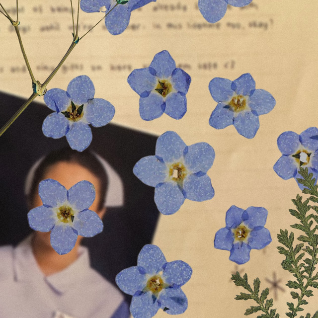 Somewhere cover art