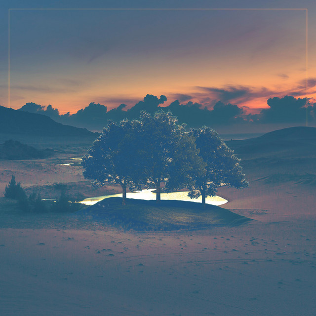 Desert Forest cover art