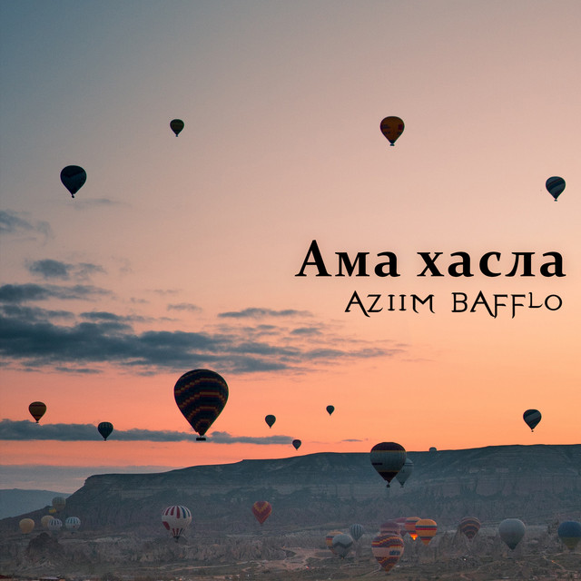 Ама хасла cover